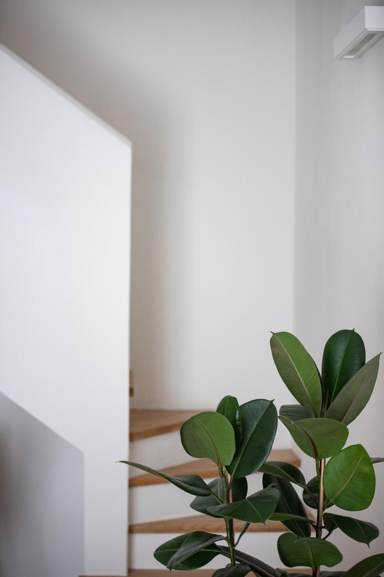 Aparthotel Santo Stefano Loft Bolonia Zewnętrze zdjęcie